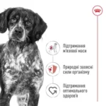 Сухий корм для собак Royal Canin Medium Adult 12+3 кг-1