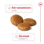 Сухий корм для собак Royal Canin Medium Adult 12+3 кг-1