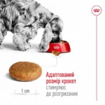 Сухий корм для собак Royal Canin Medium Adult 12+3 кг-1