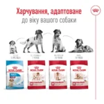 Сухий корм для собак Royal Canin Medium Adult 12+3 кг-1