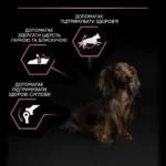 Сухий корм для собак з лососем Purina Pro Plan Small & Mini Sensitive 700 г-1