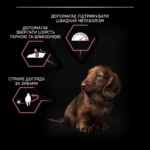 Сухий корм PRO PLAN Small&Mini Puppy Sensitive Skin для цуценят дрібних порід з чутливою шкірою з лососем 4х3 кг-1