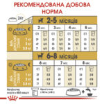 Сухий корм Royal Canin Chihuahua Puppy для цуценят породи чихуахуа до 8 місяців 500 г-1