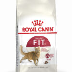 Сухий корм Royal Canin FIT 32 для дорослих котів старше 1 року, що бувають на вулиці 400г-1