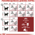 Сухий корм Royal Canin FIT 32 для дорослих котів старше 1 року, що бувають на вулиці 400г-1