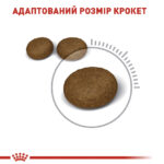 Сухий корм Royal Canin Hair & Skin Care для підтримки здоров’я та краси шкіри та шерсті у котів 10кг-1