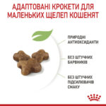 Сухий корм Royal Canin Kitten для кошенят від 4 до 12 місяців 10кг-1