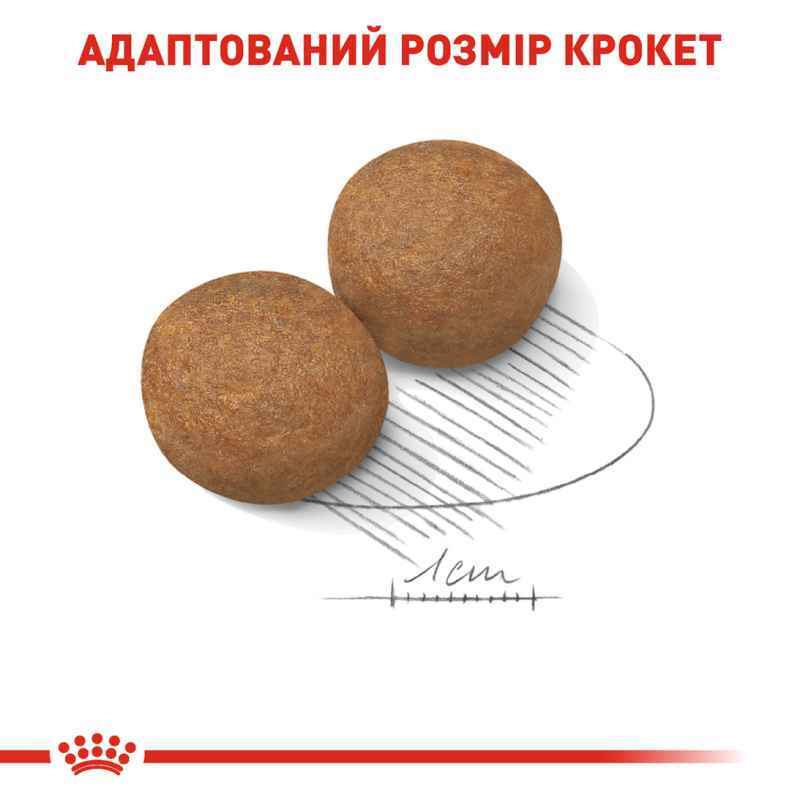 Сухий корм Royal Canin Maxi Adult для дорослих собак великих порід, з м’ясом птиці і кукурудзою, 15 кг-4