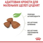 Сухий корм Royal Canin X-Small Puppy для цуценят дрібних порід з м’ясом птиці та рисом 1.5 кг-0