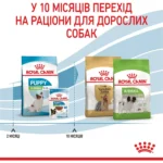 Сухий корм Royal Canin X-Small Puppy для цуценят дрібних порід з м’ясом птиці та рисом 1.5 кг-0