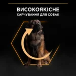 suxoy-korm-dlja-vzroslyx-sobak-krupnyx-porod-purina-pro-plan-large-robust-adult-14kg-kurica-87936183334420