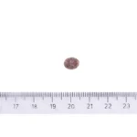 suxoy-korm-dlja-sobak-brit-care-dog-hypoallergenic-adult-small-breed-1-kg–jagnenok-44218022318972