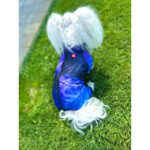 Вітровка для собак WAUDOG Clothes, малюнок NASA21 XS22, В 30-34 см, С 19-21 см-1