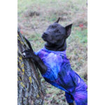 Вітровка для собак WAUDOG Clothes, малюнок NASA21 XS22, В 30-34 см, С 19-21 см-1