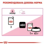 Вологий корм для кошенят Royal Canin Kitten Loaf pouch 85 г-1
