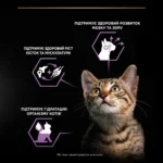 Вологий корм для кошенят з індичкою Pro Plan Kitten Healthy Start pouch 75 г-1