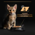 Вологий корм для кошенят з індичкою Pro Plan Kitten Healthy Start pouch 75 г-1