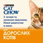 Вологий корм для котів Cat Chow Adult ніжні шматочки в желе з ягням і зеленою квасолею 85 г-1