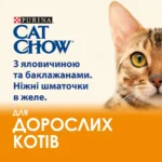 Вологий корм для котів Cat Chow Adult ніжні шматочки в желе з яловичиною та баклажанами 85 г-1