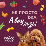 Вологий корм для котів Delickcious Шматочки з качкою, курячим філе і шпинатом в соусі 85 г-1