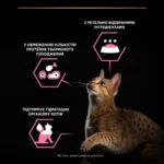 Вологий корм для котів Pro Plan Delicate Adult індичка 85 г-1