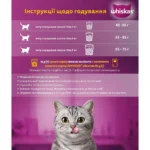 Вологий корм для котів Whiskas з лососем у соусі 85 г-1