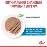 Вологий корм для вагітних собак і цуценят Royal Canin Starter Мother & Вabydog Мousse 195 г-1