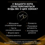 Вологий корм пауч для кішок при захворюваннях нирок з лососем Pro Plan Veterinary Diets NF 85 г-1