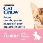 Вологий корм Purina Cat Chow (Кет Чау) для кошенят з індичкою і цукіні 85 г-1
