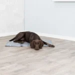 Охолоджуючий килимок Trixie для собак і кішок сірий нейлон XXL 110х70 см-6