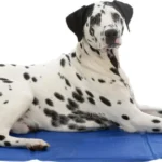 Охолоджуючий килимок Trixie для собак і кішок синій нейлон 90х50 см-1