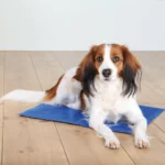 Охолоджуючий килимок Trixie для собак і кішок синій нейлон M 65х50 см-1