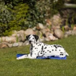 Охолоджуючий килимок Trixie для собак і кішок синій нейлон XXL 110х70 см-1