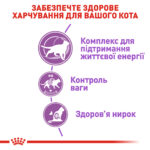 Royal Canin Sterilised 7+ – сухий корм для стерилізованих котів (від 7 до 12 років)-1
