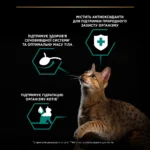 Вологий корм для дорослих котів після стерилізації Purina Pro Plan Sterilised шматочки яловичини у підливці 85 г-1