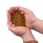 sukhoy-bezzernovoy-korm-dlya-uniorov-s-ryzhim-okrasom-shersti-dlya-malykh-porod-superior-care-red